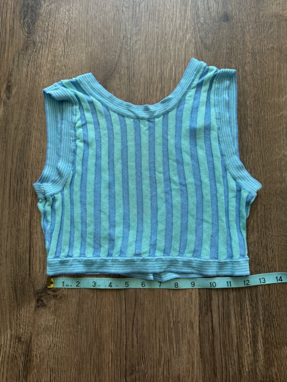 House of Harlow 1960 Blue & Mint Striped Crop Tank
